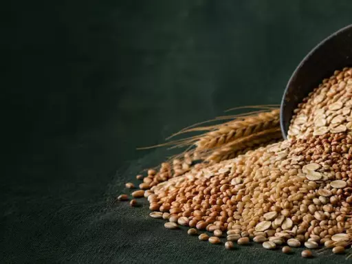 Цельнозерновые продукты: цельное зерно, крупы и цельнозерновой хлеб — обложка статьи о пользе для здоровья