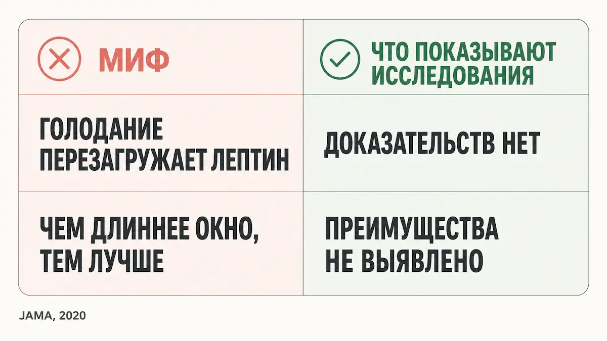 мифы и факты о лептине при интервальном голодании