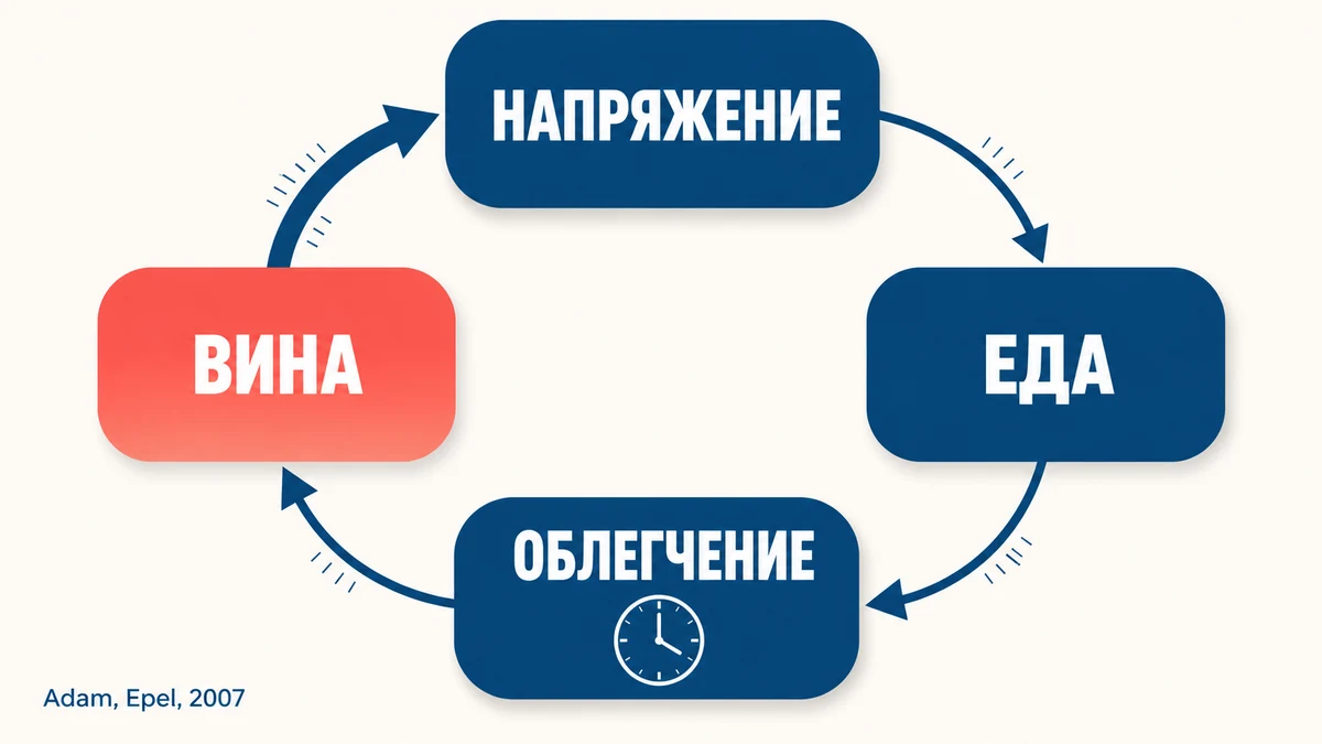 цикл эмоционального переедания: стресс, еда, облегчение, вина