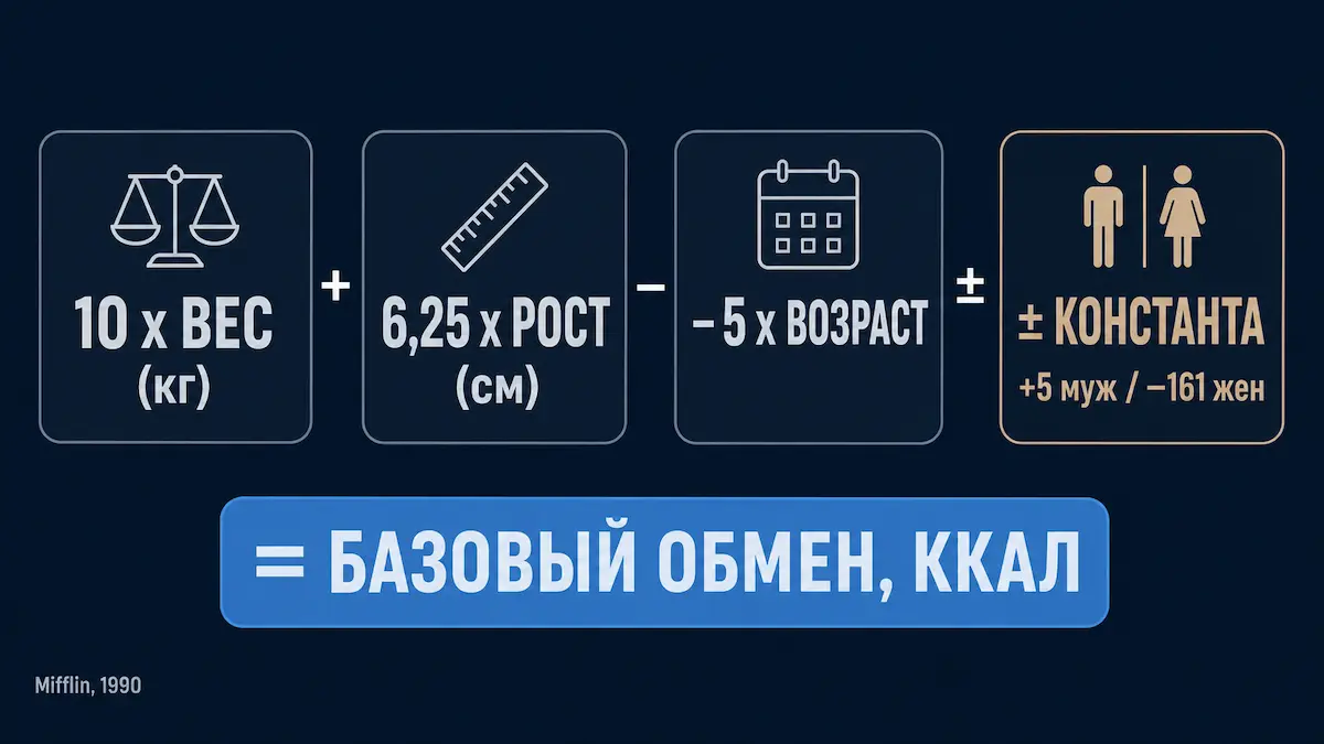 калькулятор КБЖУ: формула Миффлина-Сан Жеора для расчёта базового обмена