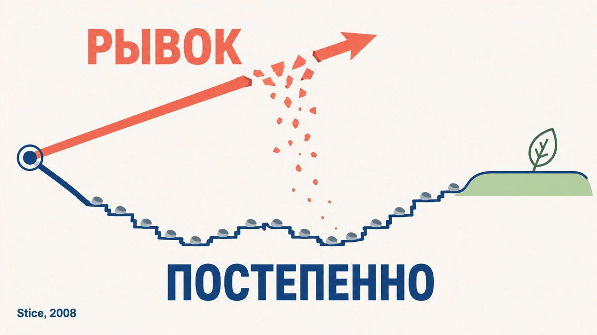 Данные рандомизированного исследования Стайса и соавторов исследование: работа с отношением к телу снижает риск РПП и ожирения