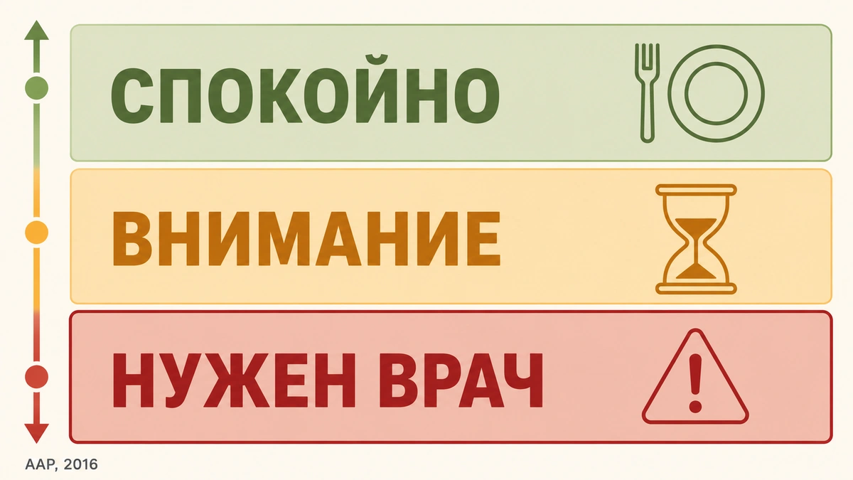 Светофор признаков: когда снижение веса становится опасным ранние признаки риска при снижении веса: зелёная, жёлтая и красная зоны