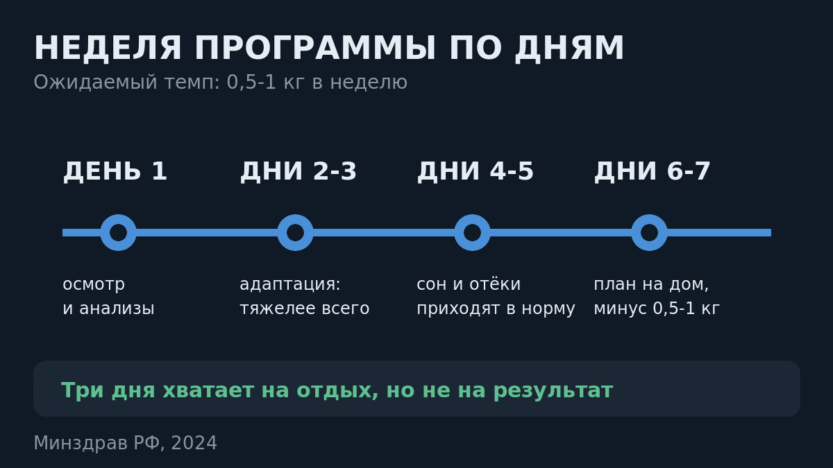 Детокс в Подмосковье и Ленобласти: как проходит неделя программы по дням